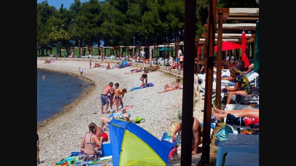 Ivni Apartmani Novigrad Istria Eksteriør billede